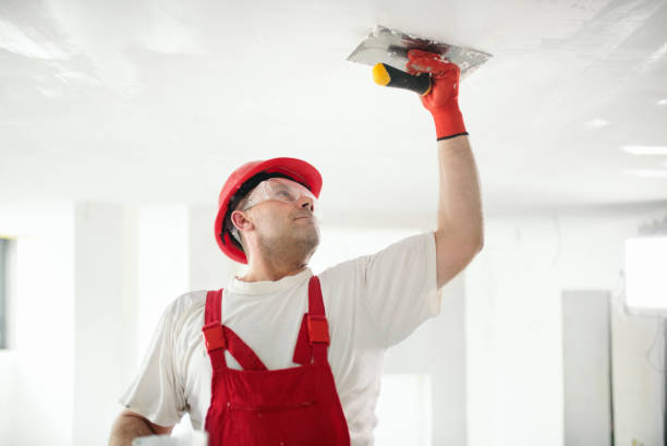 Best Drywall Finishing  in Utica, OH